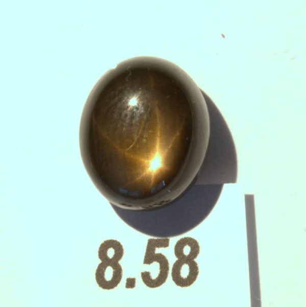 Star Sapphire 11x9.5mm Oval Cab Thailand Untreated Six Point Natural 8.58 carat
